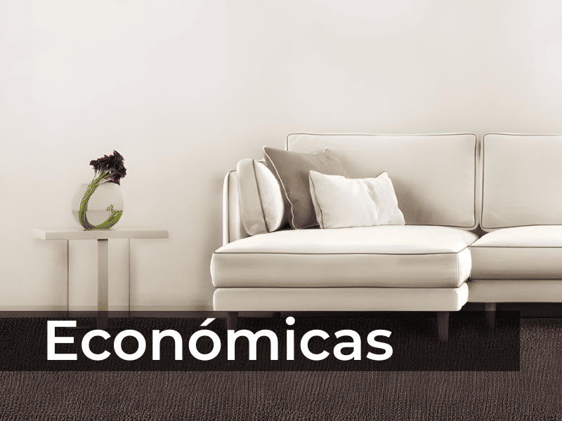 portada categoría alfombras- subcategoría econímicas