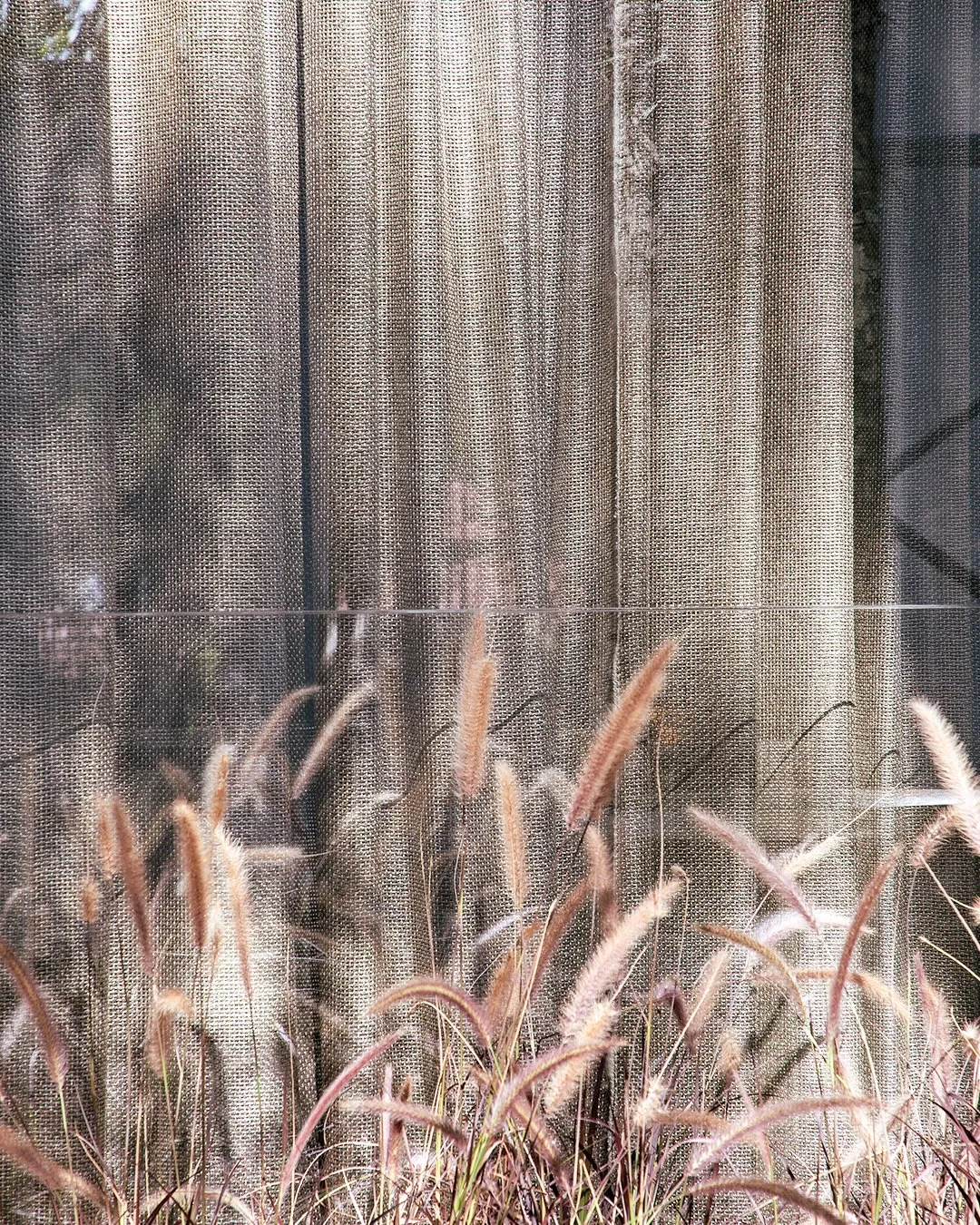 Soft Drapery 12 soft drapery